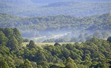 Nowendoc NSW Sunshine Coast Tourism