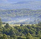 Nowendoc Country Motel - Nowendoc - Sunshine Coast Tourism
