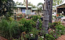 Oasis Motel - Holiday Sunshine Coast 1