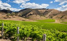 Soldiers Motel - Mudgee - Holiday Sunshine Coast 6