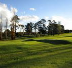 Tenterfield Golf Club and Fairways Lodge - Tenterfield - Sunshine Coast Tourism