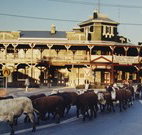 The Commercial Hotel  Coonamble - Sunshine Coast Tourism