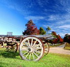 Oaks Ranch  Country Club - Holiday Sunshine Coast