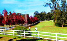 Oaks Ranch & Country Club - Holiday Sunshine Coast 1