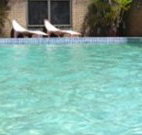 Toreador Motel - Coffs Harbour - Holiday Sunshine Coast