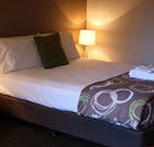 Towradgi Beach Hotel - Towradgi - Sunshine Coast Tourism