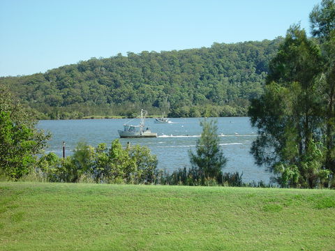 Waterview Motel - Maclean - Sunshine Coast Tourism 4