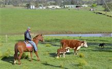 Ashmar Farm Stay - Holiday Sunshine Coast 3