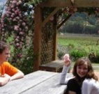 Back Forest Retreat - Holiday Sunshine Coast