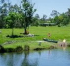 Bellingen Farmstay - Sunshine Coast Tourism