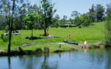 Bellingen Farmstay - Holiday Sunshine Coast 0