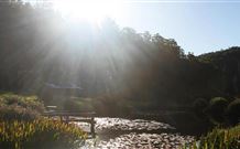 Blair Athol Estate Wollombi - Sunshine Coast Tourism 0