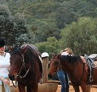 Clark Bay Cottages - Sunshine Coast Tourism