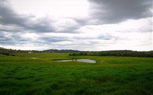 Hanericka Farmstay - Sunshine Coast Tourism 3