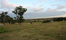 Hanericka Farmstay - Sunshine Coast Tourism 5