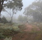 Heritage Park Bathurst - Sunshine Coast Tourism
