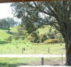 Hosanna Farm Retreat - Sunshine Coast Tourism