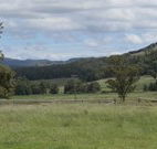Ingleden Park Bed And Breakfast Farmstay Cottages - Sunshine Coast Tourism