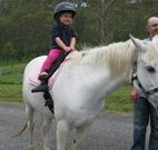 Mansfield Cottage Barrington Tops Accommodation - Sunshine Coast Tourism