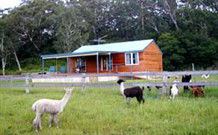 Adelong NSW Holiday Sunshine Coast