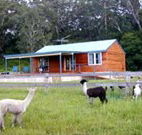 Moorallie Cottage Farm Stay - Holiday Sunshine Coast