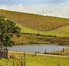 Sanctuary Hill Retreat - Sunshine Coast Tourism
