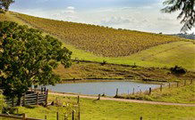 Sanctuary Hill Retreat - Sunshine Coast Tourism 0