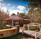 Starline Alpaca Farm Stay - Sunshine Coast Tourism
