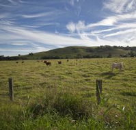 Annas Retreat - Sunshine Coast Tourism
