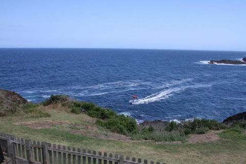 Sea Whispers Bed & Breakfast - Sunshine Coast Tourism 8