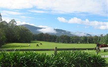 The Wattle Lodge - Sunshine Coast Tourism 4