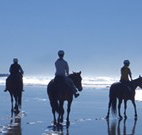 Whispering Brook - Sunshine Coast Tourism