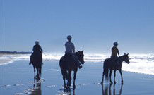 Whispering Brook - Holiday Sunshine Coast 0