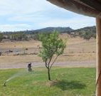 Wombat Hill Bed and Breakfast - Holiday Sunshine Coast