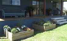 Woolshed Cabins - Sunshine Coast Tourism 3