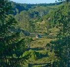 Yarralong BnB and Farm Stay - Sunshine Coast Tourism