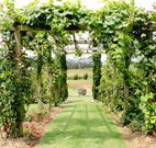 All Saints Bed and Breakfast - Holiday Sunshine Coast