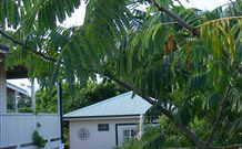 Amore Boutique Bed And Breakfast - Holiday Sunshine Coast 1