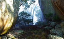 Anketell Forest Cottages - Holiday Sunshine Coast 4