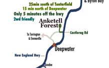Anketell Forest Cottages - Holiday Sunshine Coast 6