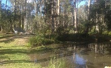 Bay N Beach Bed And Breakfast - - Sunshine Coast Tourism 1