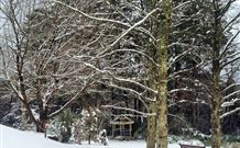 Bethany Manor Bed And Breakfast - Holiday Sunshine Coast 0