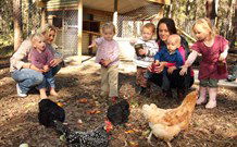 Chiltern Lodge Country Retreat - Sunshine Coast Tourism 1