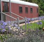 Country Carriage Bed and Breakfast - Holiday Sunshine Coast