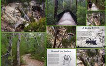 Finchley Bed And Breakfast - Sunshine Coast Tourism 7