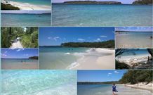 Finchley Bed And Breakfast - Sunshine Coast Tourism 6