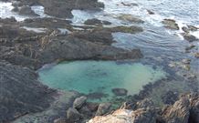 Frangi Breezes Bed And Breakfast - - Sunshine Coast Tourism 6