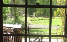 Ginninderry Homestead - Sunshine Coast Tourism 1