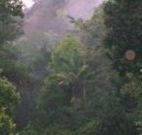 Havans Ecotourist Retreat - - Sunshine Coast Tourism