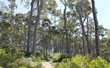 Lilli Pilli Beach Bed And Breakfast - Holiday Sunshine Coast 5